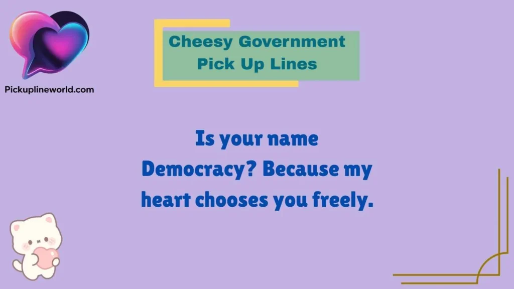 Cheesy Government Pick Up Lines
