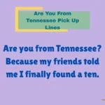 Are You From Tennessee Pick Up Lines